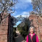 Joyce Flanagan - @flanagan_joyce - Instagram
