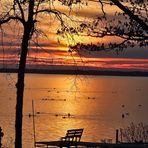Joyce Fleury - Facebook