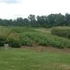 Joyce Flippin - @joyce.flippin - TikTok