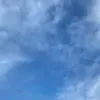 JoyceFloyd - @champyxtoyv - TikTok