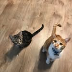 Joyce Luther Folkens - @joycefolkens - Instagram