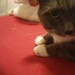 Joyce Ford - @joyceford5698 - Instagram