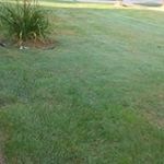 Joyce Ford - @ford6050 - Instagram