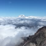 Joyce Forrester - @joycejforrester - Instagram