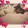 Joyce Forrester - @joyce.forrester - TikTok
