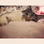 joyce - @joyceforrester16 - Instagram
