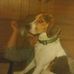 Joyce Fortin - Facebook