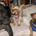 Joyce Frazer - @joyce.frazer1 - Instagram