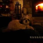 Joyce Frazer - @joyce.frazer.169 - Instagram