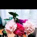 Joyce Frederick - @joycefrederick36 - Instagram