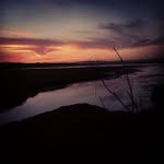 Joyce Frederick - @v2frogguanto - Instagram
