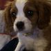 Joyce Fredericks - Facebook