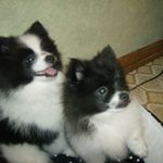 Joyce Freeman - @joyce.freeman.583 - Instagram