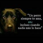 Joyce Fuentes - @joyce_fuentes.07770 - Instagram