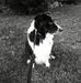 Joyce Fulmer-marshall - Facebook