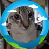 joycegalleon - @joycegalleon - TikTok