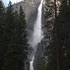 Joyce Rose Garver - @joyce.rose.garver - TikTok