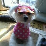 Joyce Gary - @joyce.gary.5 - Instagram