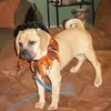 joycegary928 - @joycegary928 - TikTok
