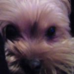 joyce geisler - @geisler.joyce - Instagram