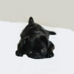 @joycegeisler2005 - Instagram