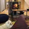 JoiceGeller - @joice_geller2967 - TikTok