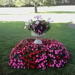 Joyce Geller Shaler - Facebook