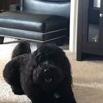 Joyce Geller Stemmons - @jstemmons - Instagram