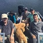 Joyce Gerstein - @gersteinjoyce - Instagram