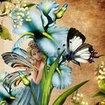 Joyce Geyer - @joycegeyer - Instagram