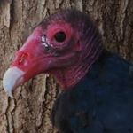 Joyce Gilliland - @joyceegilliland - Instagram