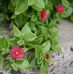 Joyce Glaze - Facebook