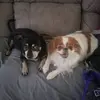 Joyce Porter Glaze - @joyce.porter.glaz - TikTok