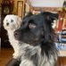 Joyce Glidden - Facebook