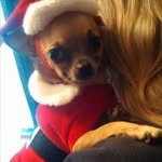 Joyce Goins - @joyce_g_2000 - Instagram