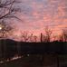 Joyce Goodin - Facebook
