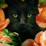 Joyce Gottschalk - @gottschalk.joyce - Instagram