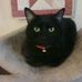 Joyce Gottschalk - Facebook