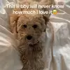 Joyce Gottschalk - @joycegottschalk33 - TikTok