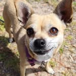 Joyce Griffiths - @joyce.griffiths.771 - Instagram