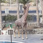 Joyce Griffiths - @joyce.griffiths.169 - Instagram