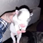 Joyce Groves - @groves2189 - Instagram