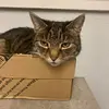 Joyce Hay - @joyce.hay67 - TikTok