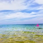 Joyce Hager - @silarshill5p - Instagram