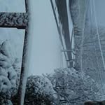 Joyce Hanlon - @joyce.hanlon.359 - Instagram