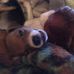 Joyce Hanner - Facebook