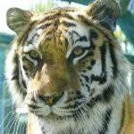 Joyce L. Hanselman - @joycecee48 - Instagram