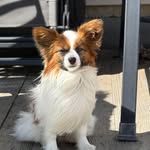 Joyce Hardin Best - @kjbsab77 - Instagram