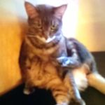 Joyce Harding - @joyceharding125 - Instagram
