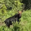 joyceharding4 - @joyceharding4 - TikTok